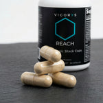 REACH Nootropic Stack Caps